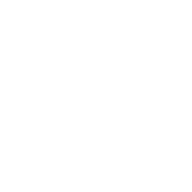 white-left arrow white-left arrow